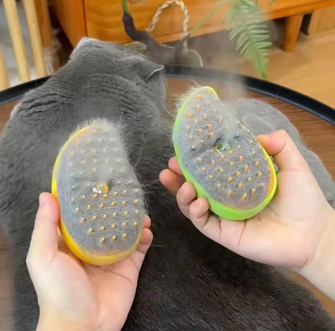 Pet Brush